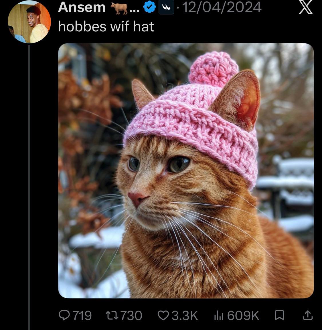 Ansem — hobbes wif hat