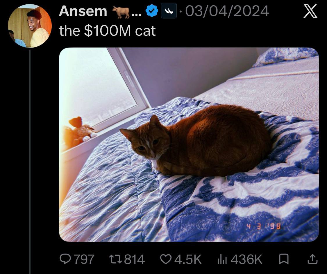 Ansem — the $100M cat