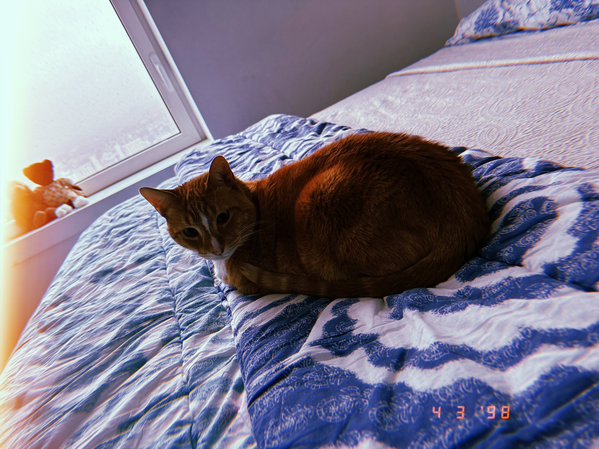 $HOBBES